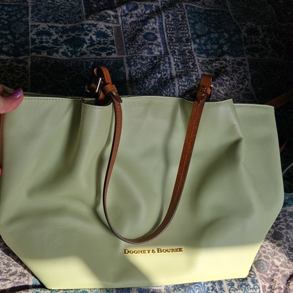 Dooney & Bourke Large Flynn In Pistachio